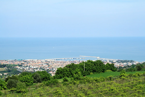 Riviera delle palme